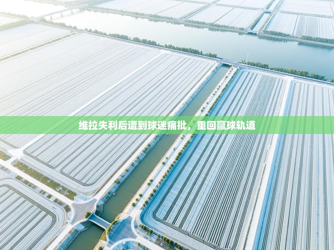 维拉失利后遭到球迷痛批，重回赢球轨道