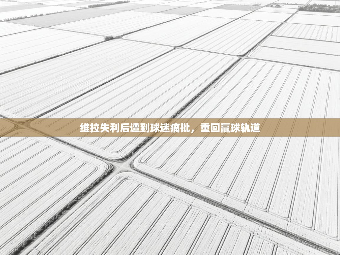 维拉失利后遭到球迷痛批，重回赢球轨道  第2张